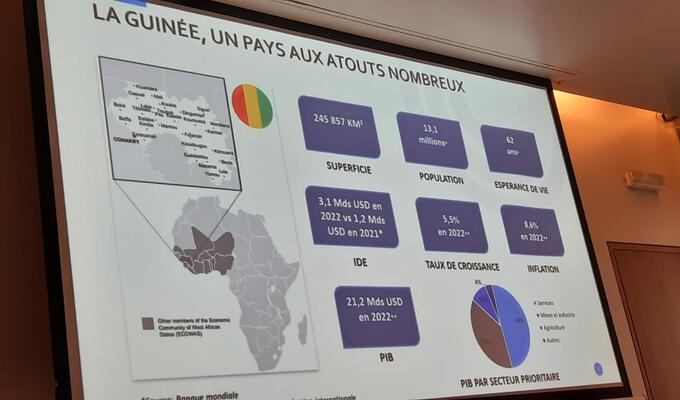 Slide with charts that reads in French 'Guinea, a country with many opportunities'