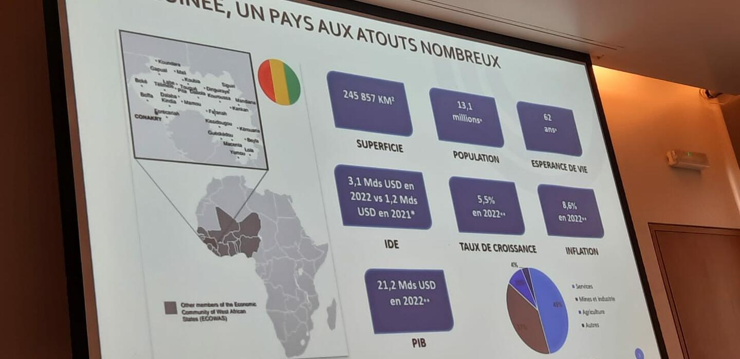 Slide with charts that reads in French 'Guinea, a country with many opportunities'