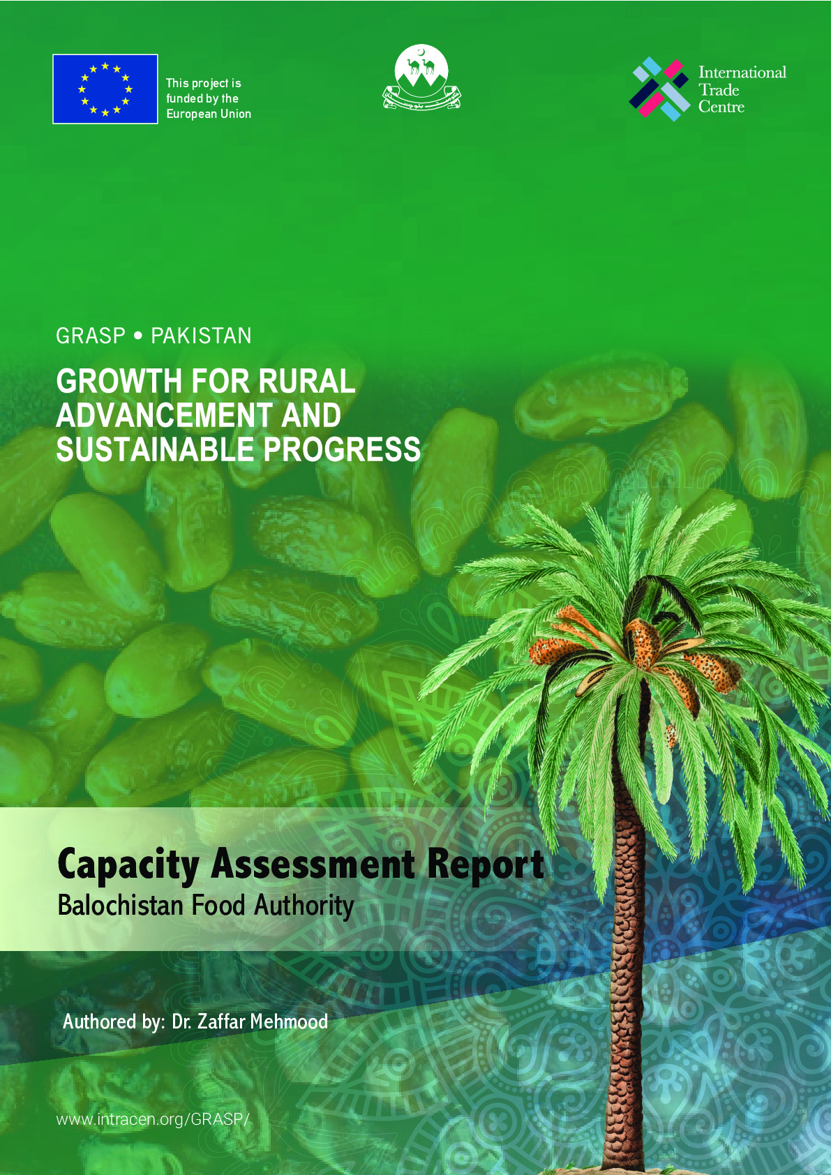 capacity_assessment_report_balochistan_copy_3