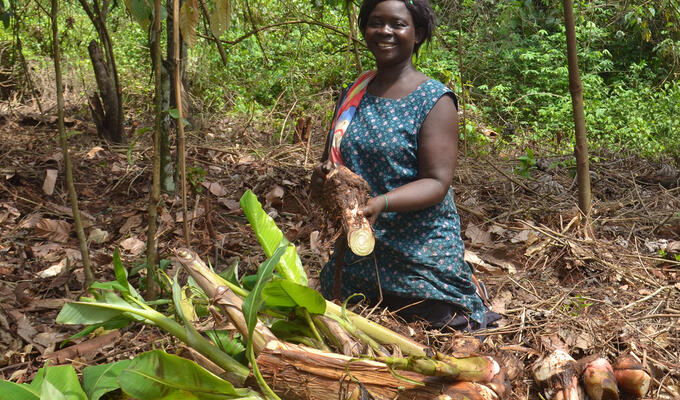 African woman kneeling in forest clearing with her harvest of produce