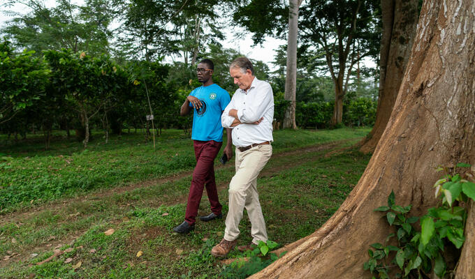 Dutch official walks with Ghanaian entrepreneur on cocoa farm