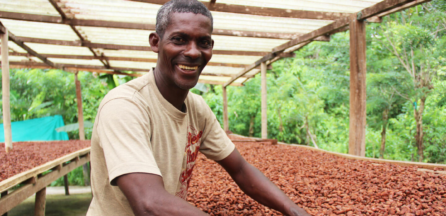 Natural cocoa dryer