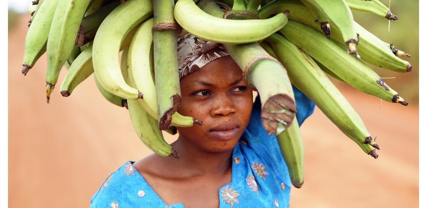 Banana intercrop