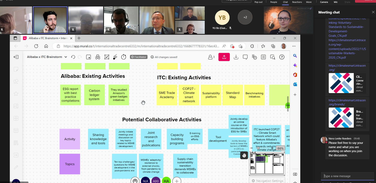 Captura de pantalla de la sesión de intercambio de ideas en línea