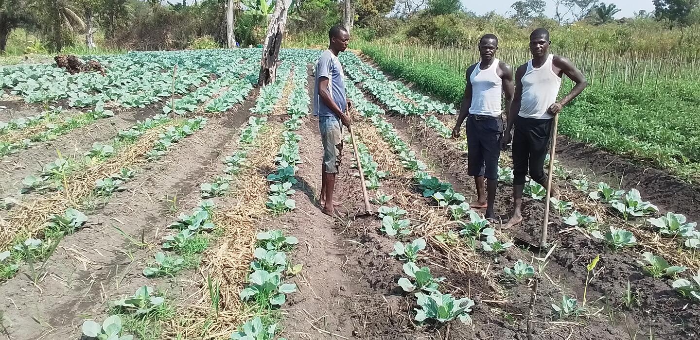 3 South Sudanese farmers working on their farm