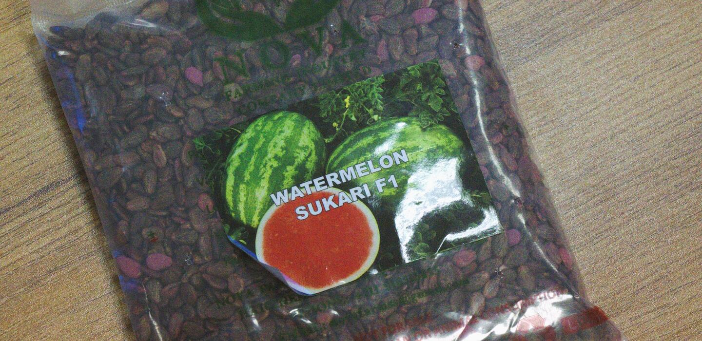 A packet of watermelon seeds