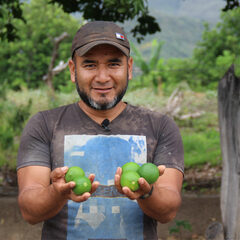 Small producer organization primarily commercializing Tahiti lime, located in El Rosario, Nariño, Colombia. 